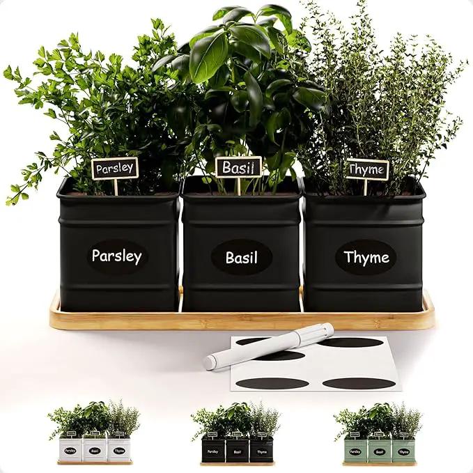 Herb Planter Indoor - 3 Iron Herb Pots with Drainage Holes, Varnished Bamboo Tray, Customizable Labels & Marker Pen - Indoor Herb Garden Planter - 3 Pots for Herbs - Inside Spice Garden - Basil Pot by GreenHaven Gardens