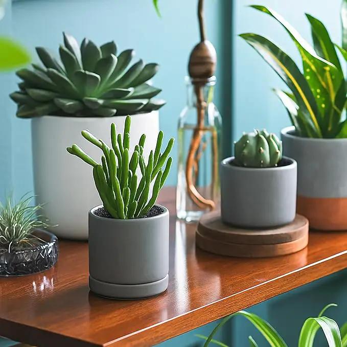 D'vine Dev 3.5 Inch Ceramic Planter Pot with Drainage Hole and Saucer, Indoor Cylinder Round Planter Pot, Speckled Grey, 94-O-A-3 by GreenHaven Gardens