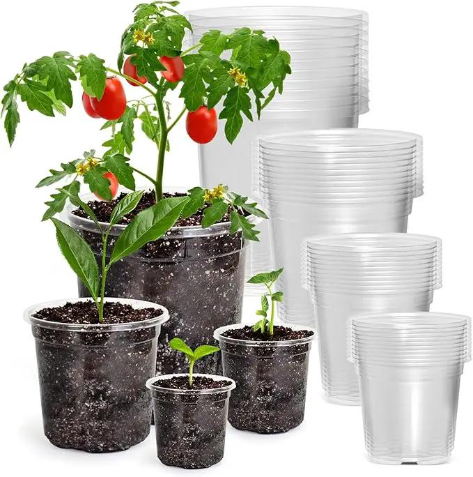 36 Packs 6.7/5/4/3.5 Inch Reinforced Clear Nursery Pots with Drainage Hole, Transparent Variety Pack Plastic Plant Pot Seedling Planter Seed Starter Flower by GreenHaven Gardens