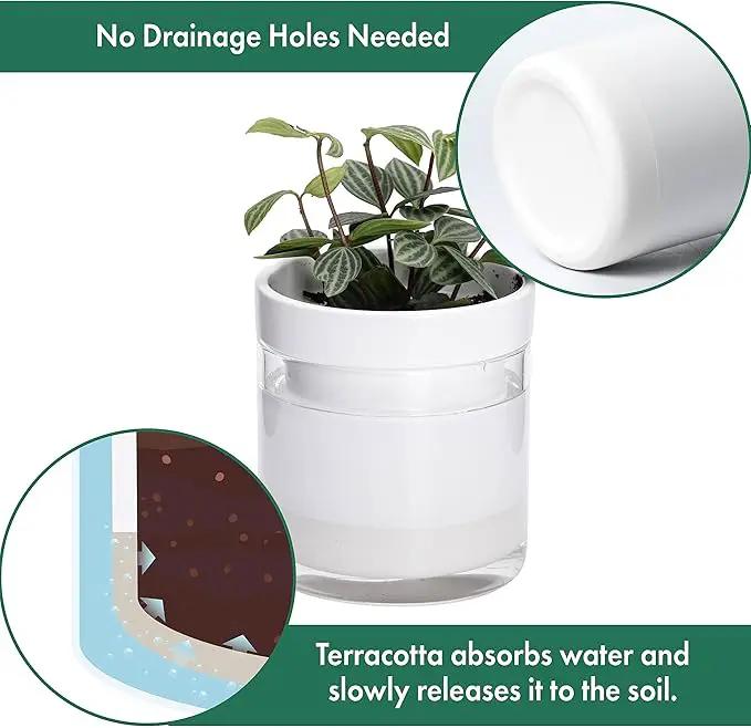 Phoenix Vine 4 Inch Self Watering Planter, White Terracotta Clay Pot with Glass Reservoir for Indoor Plants, Herbs, Flowers, Set of 4, 52-B-E-4 by GreenHaven Gardens