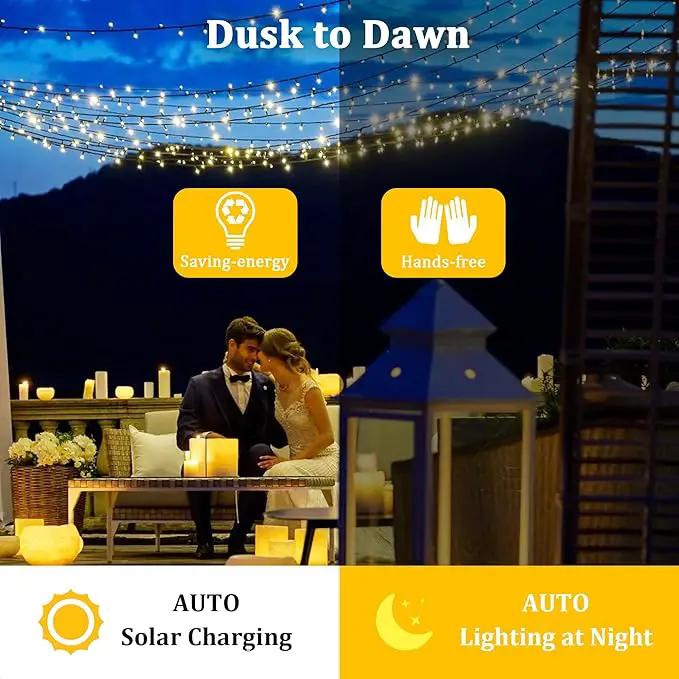 2-Pack 200FT Solar String Lights for Outside, 600 LED Extra-Bright Solar Light Outdoor with 19 Modes & Timer, Waterproof Fairy Solar Lights for Garden Patio Tree Christmas Decorations (Warm White) by GreenHaven Gardens