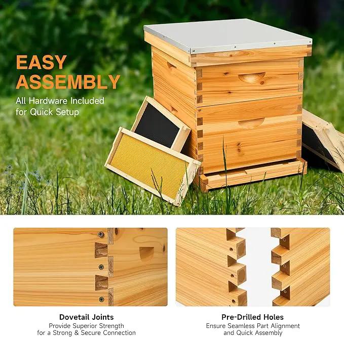 CREWORKS 10 Frame Bee Hive, 2 Layers Beeswax Coated Beehive Starter Kit with Frames & Foundations, Langstroth Bees Hives Box with Transparent Acrylic (Window Medium Box & Deep Box) by GreenHaven Gardens