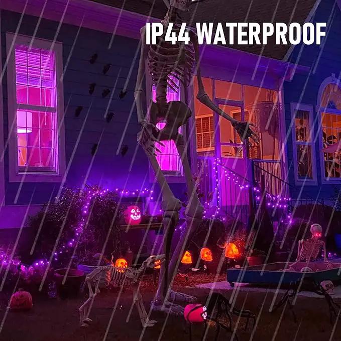 TW SHINE Purple Halloween Lights, 2 Pack 20FT 100 Count Incandescent Halloween Mini String Lights, Waterproof Halloween Decorations for Outdoor Indoor Patio Home Party Garden Yard Decor by GreenHaven Gardens