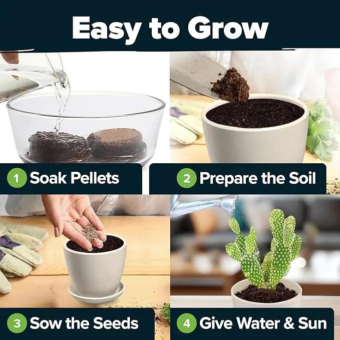 HOME GROWN Succulent & Cactus Seed Kit for Planting – [Enthusiasts Favorites] Premium Cactus & Succulent Starter Kit: 4 Planters, Drip Trays, Markers, Seeds Mix, Soil - DIY Gift Kits by GreenHaven Gardens