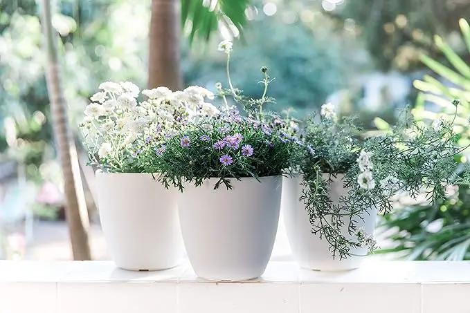 GARDENIX DECOR Self Watering Pots for Indoor Plants 3 Pack - Flower Pot with Water Level Indicator for Plants, Grow Tracking Tool - Self Watering Planter Plant Pot - Coco Coir - White by GreenHaven Gardens