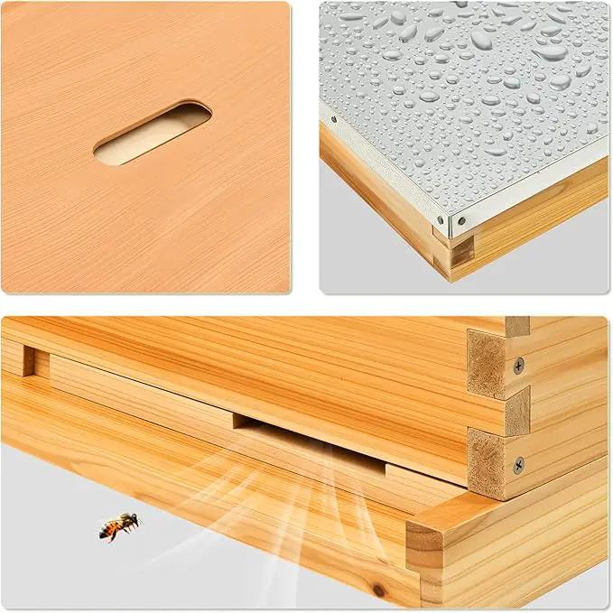 CREWORKS 10 Frame Bee Hive, 3 Layers Beeswax Coated Beehive Starter Kit with Frames & Foundations, Langstroth Bees Hives Box with Transparent Acrylic (Window Medium Box & 2 Deep Boxes) by GreenHaven Gardens