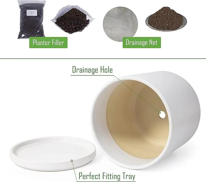 D'vine Dev 8 Inch Ceramic Planter Pot with Drainage Hole and Saucer, Indoor Cylinder Round Planter Pot, White, 94-O-D-1 by GreenHaven Gardens