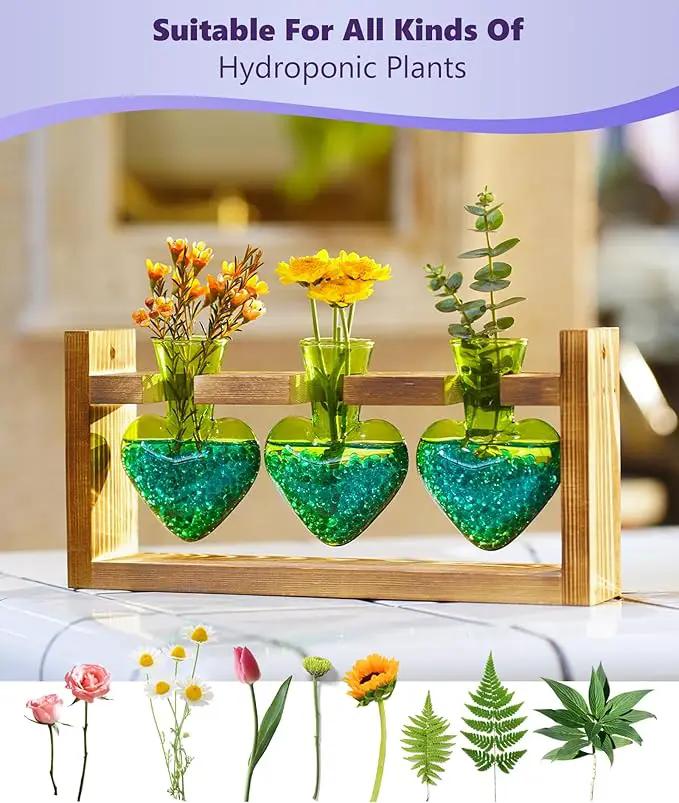 Nacome Plant Terrarium for Office Decor: Birthday Gifts for Plant Lovers Women Mom Wife - Wooden Stand Tabletop Planter 3 Bulb Glass Vase Heart Shaped for Hydroponics Indoor Home(Green) by GreenHaven Gardens