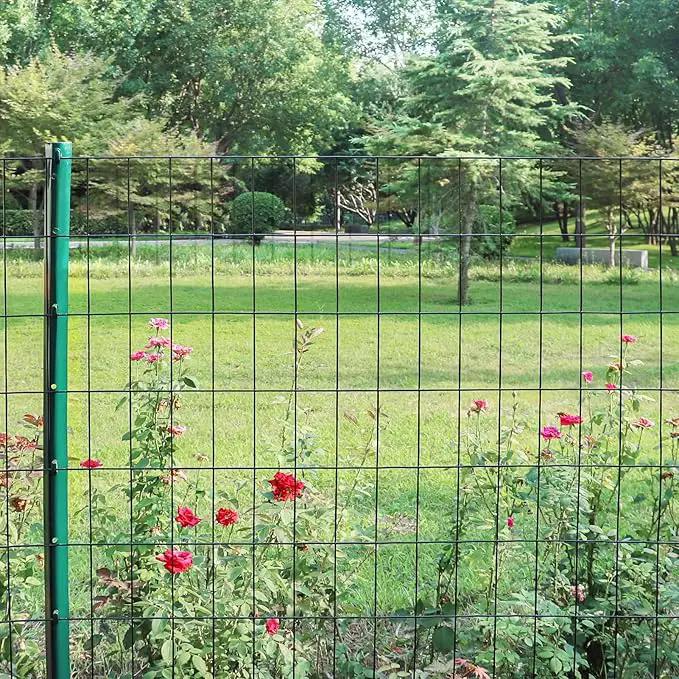 Black PVC Coated Welded Wire Fence 24 Inch x 50 Foot, 2 Inch x 4 Inch 15GA, Garden Border Fencing Roll Vinyl Coating Metal Wire Mesh Hardware Cloth for Yard Vegetable Plant Protection by GreenHaven Gardens