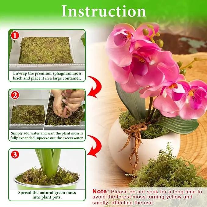 Halatool 1.1LB Green Forest Moss- 25QT Natural Sphagnum Moss for Plants Fluffy Orchid Moss for Orchids Repotting Dried Plant Moss for Potted Plants Indoor & Outdoor by GreenHaven Gardens