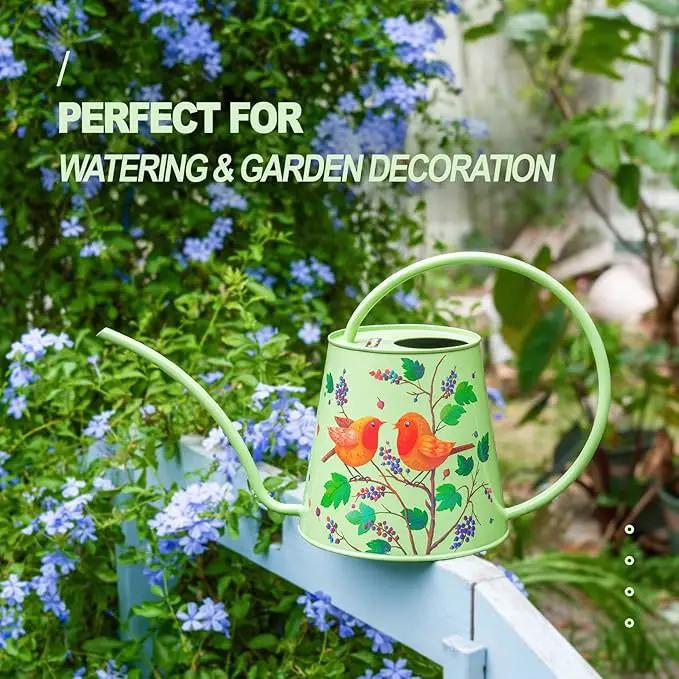 Berry&Bird House Plants Watering Can - Indoor & Outdoor 1/2 Gallon Stainless Steel Water Can with Long Spout Garden Decoration for Flower Bonsai Succulent Gardening Large Watwer Bottle(2L/Robin) by GreenHaven Gardens