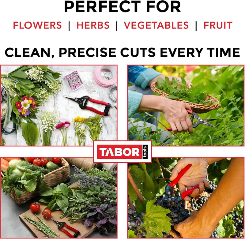 TABOR TOOLS K7A Straight Pruning Shears with Carbon Steel Blades, Florist Scissors, Multi-Tasking Garden Snips for Arranging Flowers, Trimming Plants and Harvesting Herbs, Fruits or Vegetables. by GreenHaven Gardens