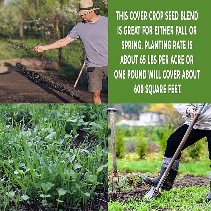 No-Till Farm and Garden Cover Crop Mix Seeds - 25 Lbs Bulk - Blend of Gardening Cover Crop Seeds: Hairy Vetch, Daikon Radish, Forage Collards, Triticale, More by GreenHaven Gardens