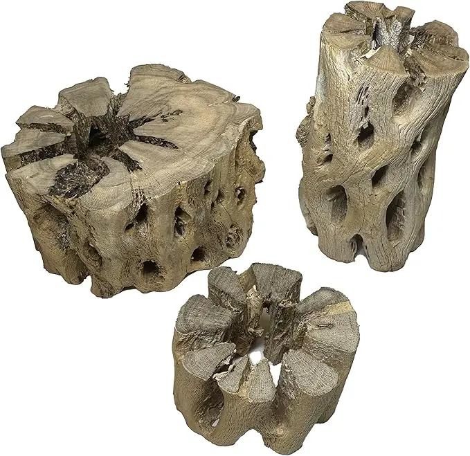 3 Natural Cholla Wood Air Plant Display Holders Tiered 1, 2 & 3 inch Individually Unique Round Decorative Stands by GreenHaven Gardens