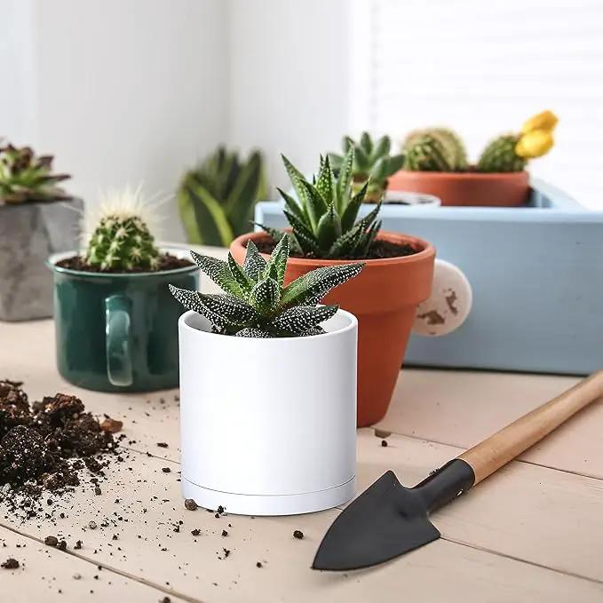 D'vine Dev 18 Pack 2.5 Inch Mini Plastic Plant Pots, Small Garden Planters for Plant with Drainage Holes and Saucers, White Color, 74-Z-B-5 by GreenHaven Gardens