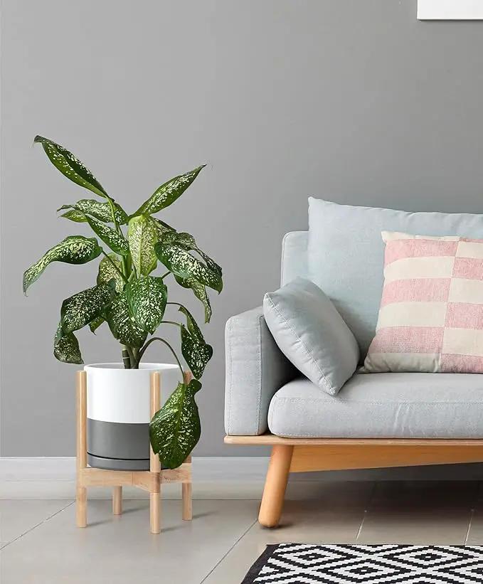 D'vine Dev Ceramic Planter with Natural Stand - 10 Inch Modern Round Flower Pot with Wood Planter Holder, White/Grey, 55-B-K-6 by GreenHaven Gardens