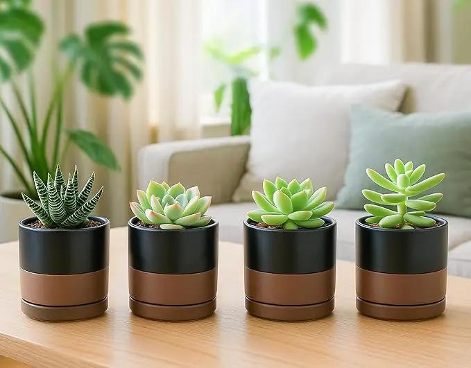 D'vine Dev Set of 4 Small Ceramic Plant Pots, 3.5 Inch Succulent Planter Pot for Plants with Drainage Hole and Saucer, Black/Speckled Tan, 94-X-A-7 by GreenHaven Gardens