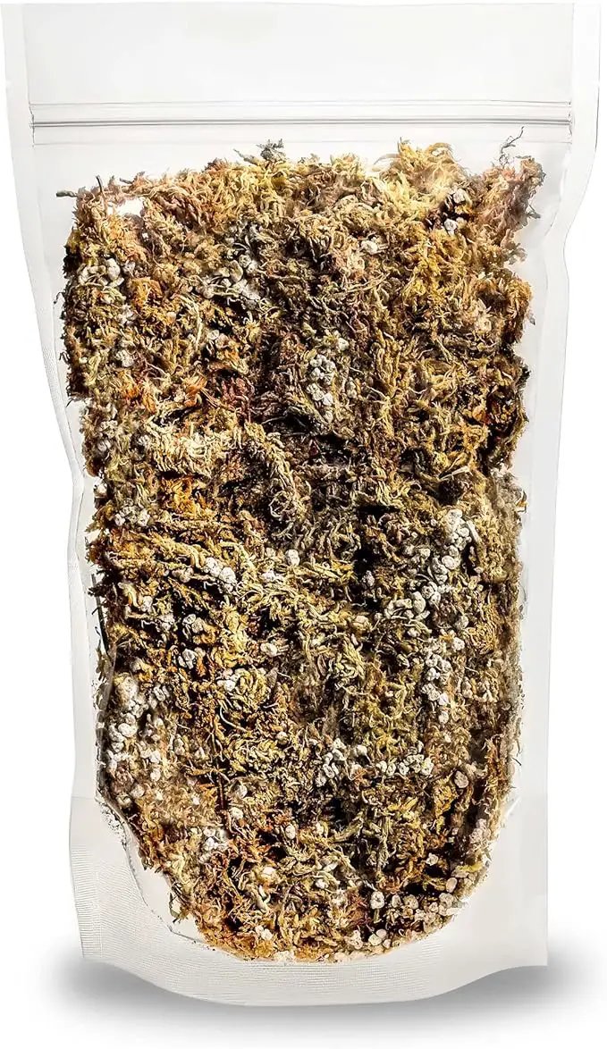 Sphagnum Moss Potting Mix for Carnivorous Plants, Moss and Perlite Blend for Potting Venus Fly Traps, Sarracenia, Pitcher Plants - 75% Sphagnum Moss + 25% Perlite - Made in USA - 2 Quart by GreenHaven Gardens