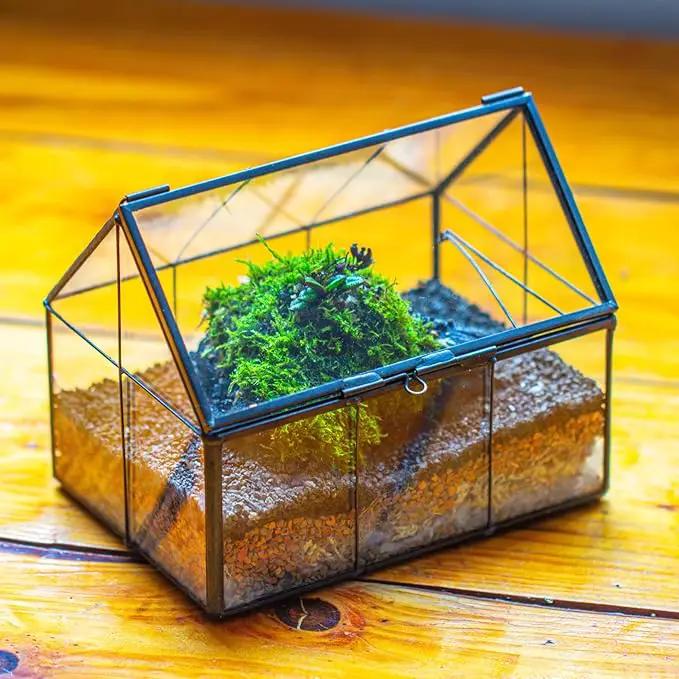 NCYP Mini Glass Terrarium with Lid - 6.1" x 4.25" x 4.92" House Shape Closed Planter Pot for Small Cactus, Succulents Plant - Home Garden Office Tabletop Geometric Decor, Black (Terrarium Only) by GreenHaven Gardens