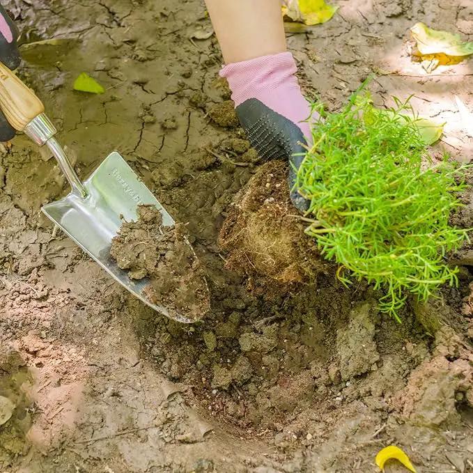 Stainless Steel Trowel, Garden Small Flower Hand Shovel, Potting Soils Scoop with Wood Handle, Gardening Bonsai Tools for Transplanting Digging Weeding Planting by GreenHaven Gardens
