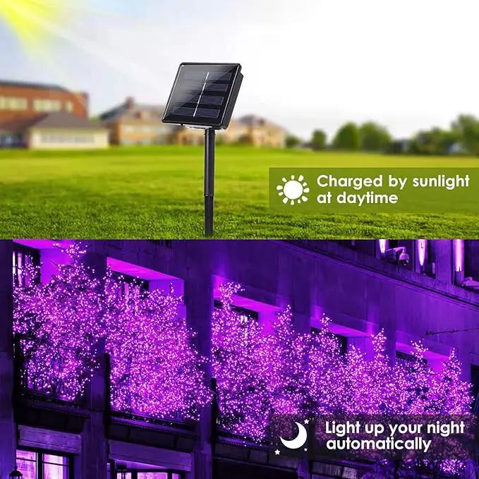 Purple Halloween Solar String Lights Outdoor, 2-Pack 80FT 200LED Solar Twinkle Light Waterproof, Copper Wire 8 Modes Purple Fairy Lights for Garden, Fence, Tree Decor, Halloween Decoration Outdoor by GreenHaven Gardens
