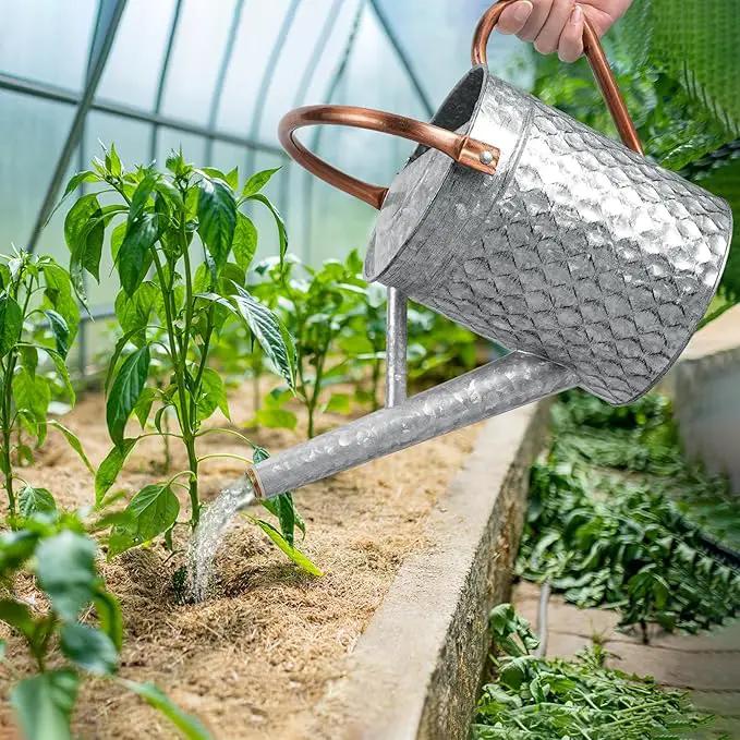 1 Gallon Metal Watering Can for Outdoor Indoor Plants, Galvanized Watering Can with Removable Spray Spout, Ideal for Garden Watering by GreenHaven Gardens