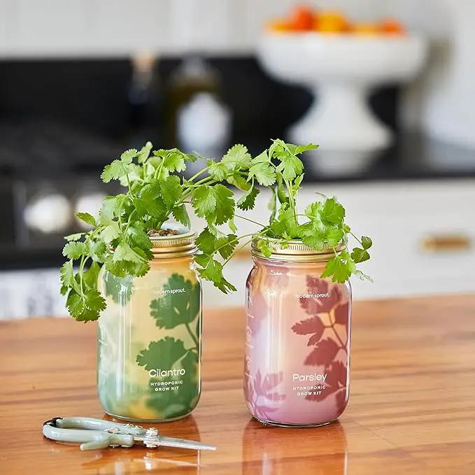 Modern Sprout Mason Garden Jar - Self-Watering Hydroponics Growing System Kit with Organic Herb Seeds - Jar Planter for Indoor Herb Garden - Seed Starter Kit - Home Decor & Gifting - Parsley by GreenHaven Gardens