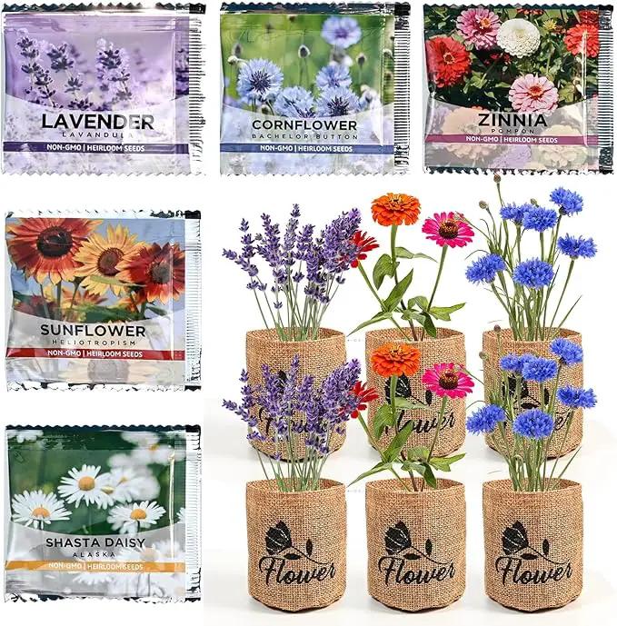 Indoor Daisy Garden Starter Kit with Gardening Tools - Jute Bags, Markers, Soil Disks and Shears, Home Gardening Gifts for Women Men Plant Lovers by GreenHaven Gardens