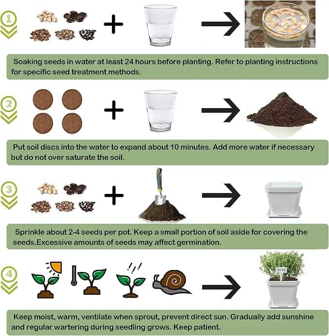 10 Herb Seeds Garden Starter Grow Kit with White Pots, Markers, Nutritional Soil, Watering, Herb Clipper, Complete Indoor Potted Plant Growing Set for Kitchen DIY by GreenHaven Gardens