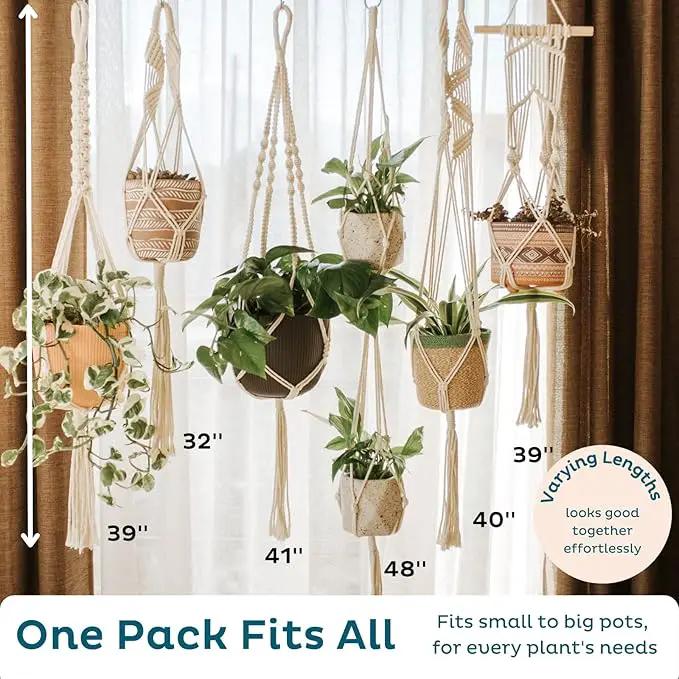 Nook Theory 6-Pack Macrame Plant Hanger - 12 Ceiling Hooks - Plant Hanger Indoor - Hanging Plant Holder - Hanging Planters for Indoor Plants - Boho Plant Hanger - Plant Hangers Indoor (Cream) by GreenHaven Gardens