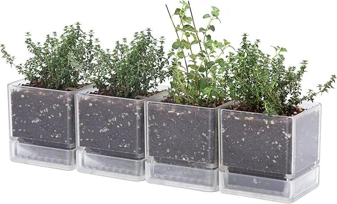 4 Inch Herb Planter Pot, Plastic Planter with Drainage Holes and Saucer, Modern Decorative Gardening Pot for Indoor Plants, Flowers, Herbs, Succulents, Clear, Set of 4, 76-Y-D-4 by GreenHaven Gardens
