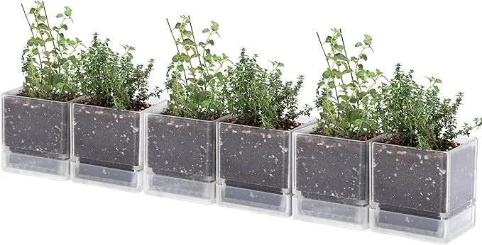 4 Inch Herb Planter Pot, Plastic Planter with Drainage Holes and Saucer, Modern Decorative Gardening Pot for Indoor Plants, Flowers, Herbs, Succulents, Clear, Set of 6, 76-Y-D-6 by GreenHaven Gardens