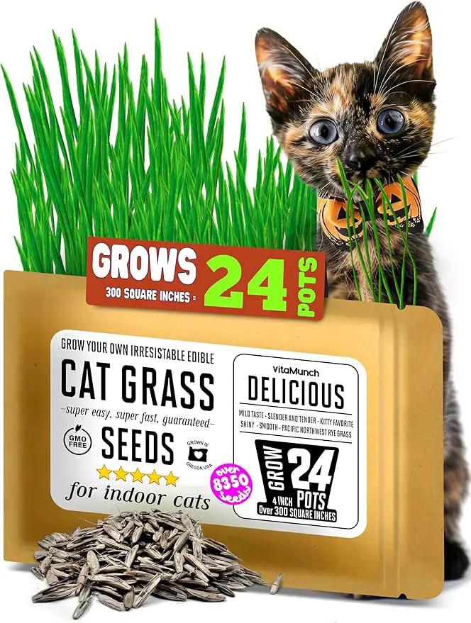 Cat Grass Seeds – Smooth Tasty Ryegrass – Grows 24 Pots of Fresh Cat Grass for Indoor Cats & Kittens – Easy & Fast to Grow – Small Pack Grows 300 Square inches of Edible cat Grass Vitamunch by GreenHaven Gardens
