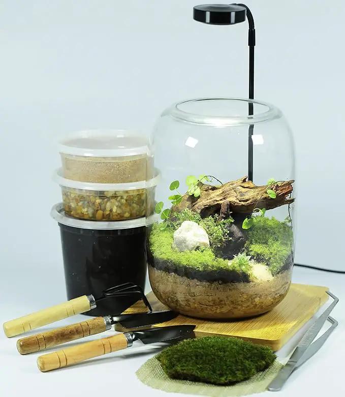 Terrarium Kit/Supplies Terrarium Plants Set with Grow Light, for Succulents Miniature Gardening, Include Terrarium jar Tool Set Live Moss Rocks Soil Driftwood and Decor, for Plant Lovers by GreenHaven Gardens
