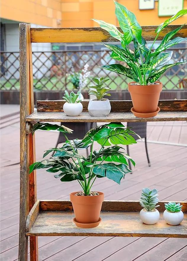 2 Pack Large Terracotta Pots with Saucer for Plants, 8 Inch Terra Cotta Plant Pot with Drainage Hole, Clay Flower Planter Pot with Tray for Indoor Plant by GreenHaven Gardens