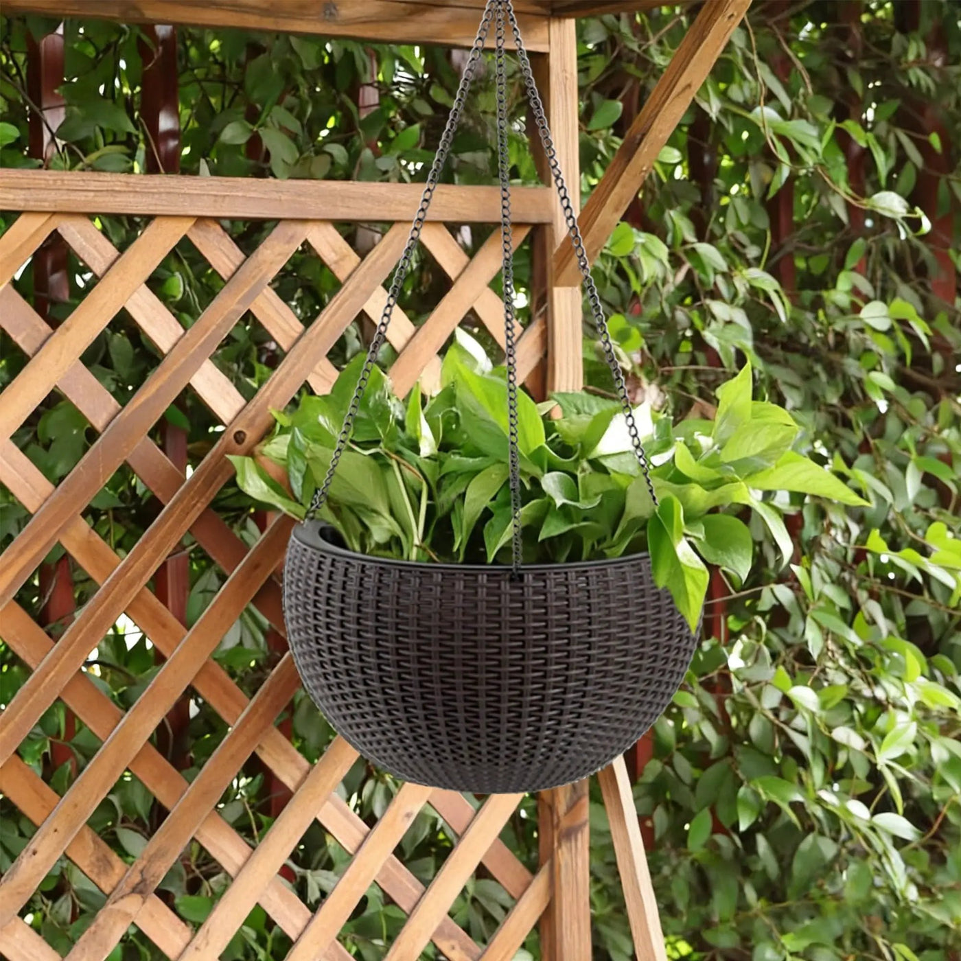 Self Watering Hanging Planter by HouseOfZazla
