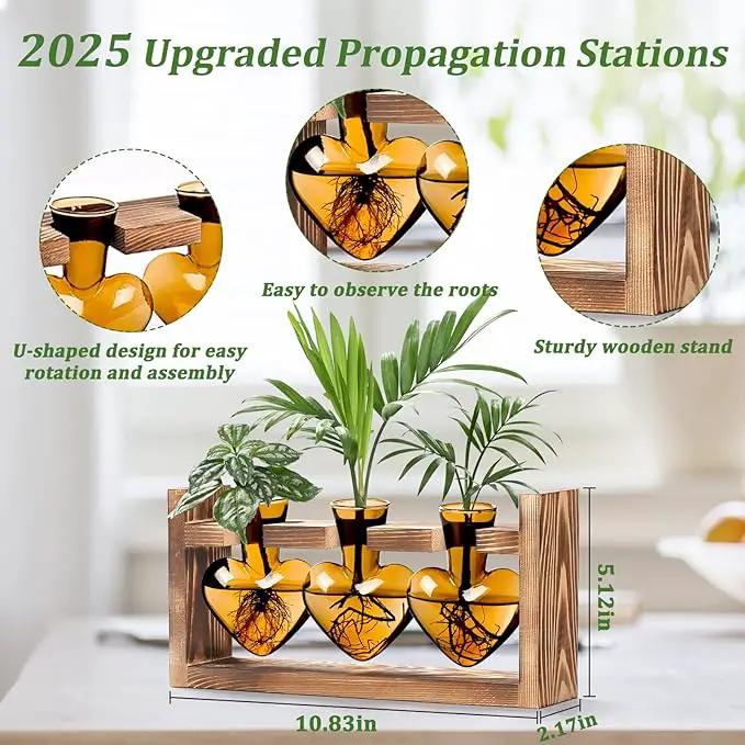 Lifecapido Heart Shaped Propagation Stations, Plant Terrarium with Wooden Stand, Plant Propagation Station for Hydroponics Plants Office Garden Home Decor, Gifts for Women Plant Lover (3 Vases, Amber) by GreenHaven Gardens