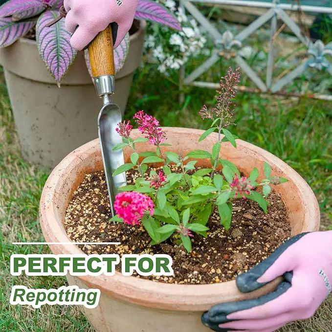Haliaeetus Seeding Widger, Stainless Steel Garden Planting Trowel for Repotting, Long and Narrow Widger for Weeding from Tight Areas, Hand Transplanter with Wood Handle for Planting, Weeding, Digging by GreenHaven Gardens