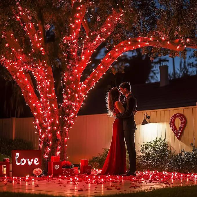 JMEXSUSS 2 Pack Red Solar Lights, Each 100 LED 33ft Valentine Solar Lights Outdoor, 8 Modes Christmas String Lights for Outside Valentine Day Tree Yard Decor by GreenHaven Gardens