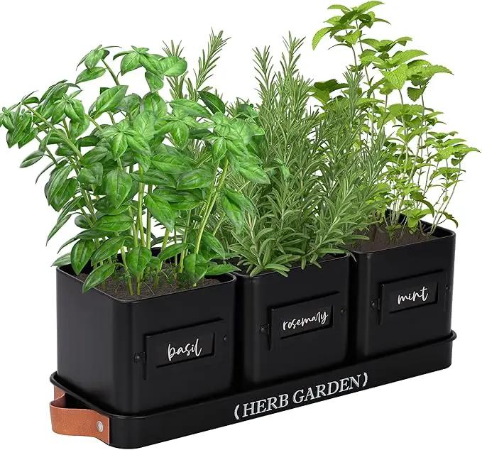 PERFNIQUE Indoor Herb Garden, Herb Garden Planter Set with Tray, Farmhouse Indoor Plant Pots, Windowsill Herb Garden with Drainage(Planter only) for Indoor/Outdoor, Window Pots(Matte Black) by GreenHaven Gardens