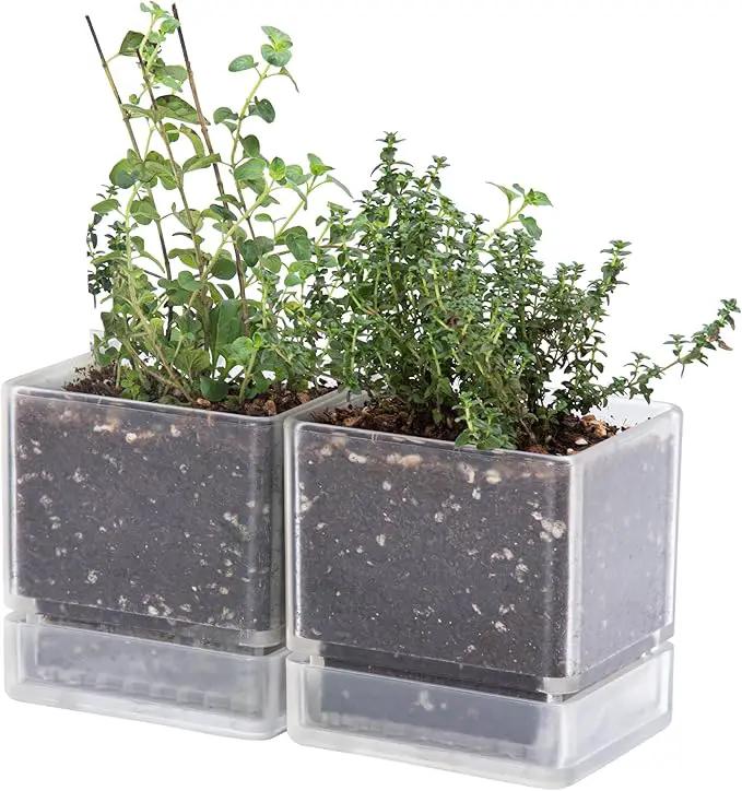 4 Inch Herb Planter Pot, Plastic Planter with Drainage Holes and Saucer, Modern Decorative Gardening Pot for Indoor Plants, Flowers, Herbs, Succulents, Clear, Set of 2, 76-Y-D-2 by GreenHaven Gardens
