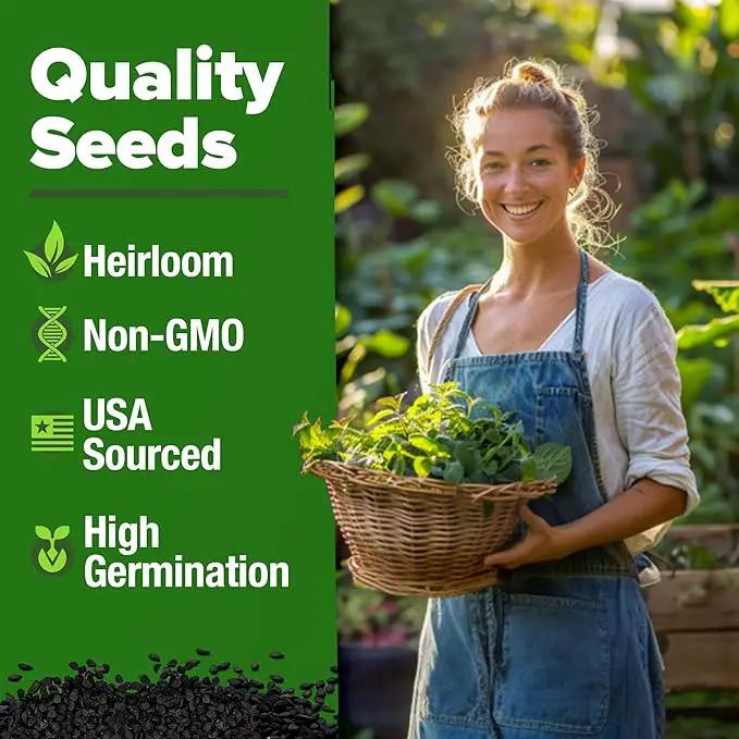HOME GROWN 𝗨𝗦𝗔 𝗣𝗥𝗘𝗠𝗜𝗨𝗠 Lemon Balm Seed Pack - 403 Non-GMO USA Heirloom Herbal Tea Seeds - Bulk Lemon Balm Seeds for Planting Gardens Indoors or Outdoors - Herb Seeds (Melissa officinalis) by GreenHaven Gardens