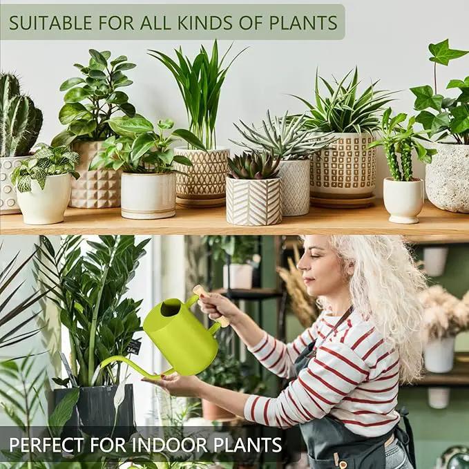 Watering Can Indoor Plants, 35oz Small Stainless Steel Metal Watering Can Modern Decorative Watering Pot with Long Spout for Indoor House Plant Bonsai Garden Flowers (Bright Green) by GreenHaven Gardens