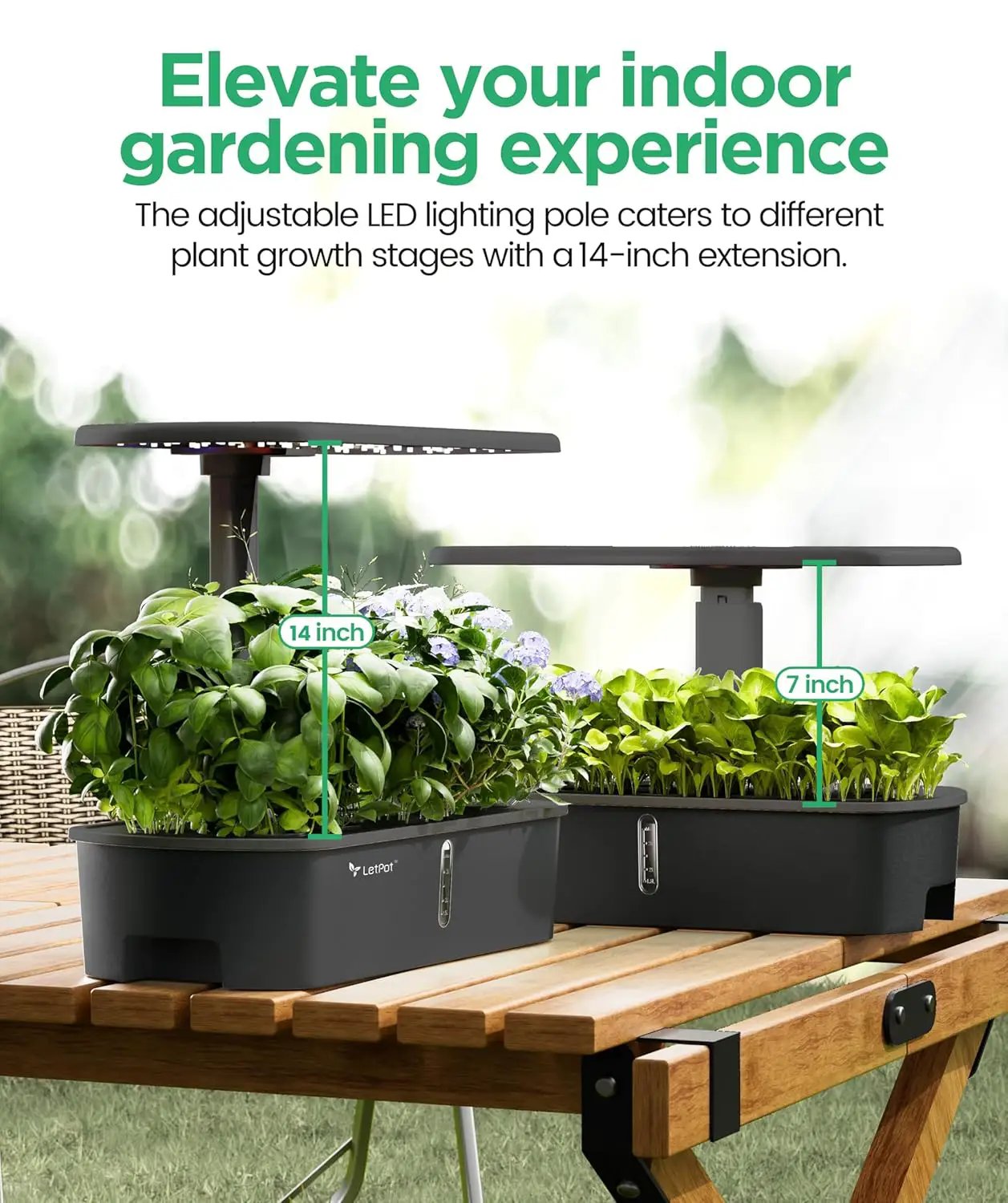 LETPOT LPH-Air Hydroponics Growing System Kits, APP & WiFi Controlled Smart Indoor Garden with 24W Grow Light Full Spectrum, 10 Pods Planter Indoor Gardening for Gifts, Kitchen, Vegetable (Black) by GreenHaven Gardens