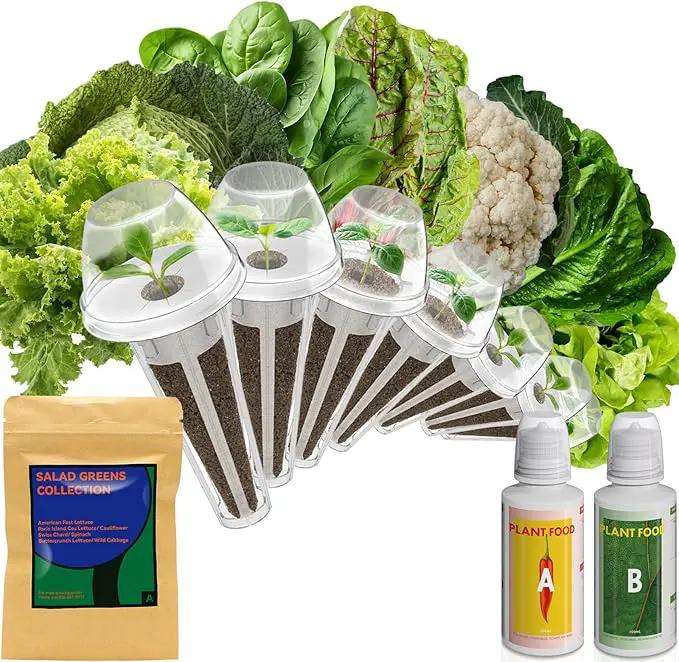 Salad Greens Seed Pod Kit for AeroGarden Hydroponics Growing System, Indoor Home Garden with American Fast/Paris Island/Buttercrunch Lettuce, Swiss Chard, Spinach, Cauliflower and Wild Cabbage, 7 Pods by GreenHaven Gardens