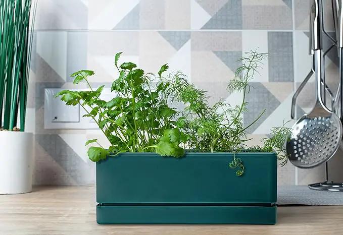 D'vine Dev 12 Inch Window Box Planter, Rectangle Plastic Herb Planter with Drainage Holes and Saucer, Indoor Succulent Cactus Vegetable Pot for Windowsill, Garden Balcony, Green, Set of 1, 76-X-C-1 by GreenHaven Gardens