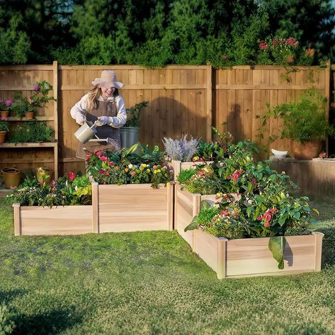 AMERLIFE 3-Tier Raised Garden Bed for Outdoor Gardening, Fir Wood Planter Box with Dividers, Tool-Free Assembly, Garden Box Perfect for Vegetables, Herbs, and Flowers by GreenHaven Gardens