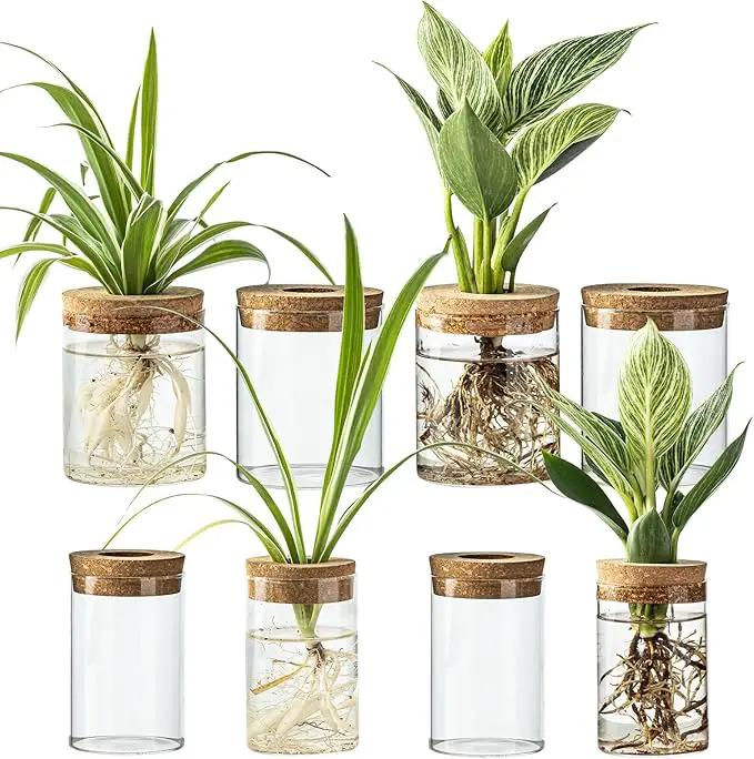 Glass Plant Propagation Stations for Plants – Set of 4(4 Large & 4 Small) Hydroponic Vases for Plant Cuttings,Flower Arrangements, Home & Office Decor–Desktop Vases for Living Room, Bedroom (8) by GreenHaven Gardens