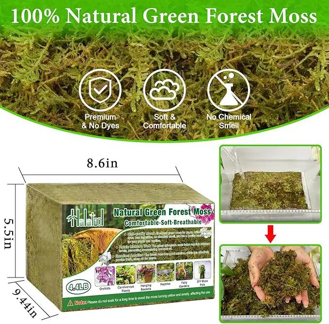 Halatool 4.4LB Green Forest Moss Natural Sphagnum Moss for Plants Fluffy Orchid Moss for Orchids Repotting Dried Plant Moss for Potted Plants Indoor & Outdoor by GreenHaven Gardens