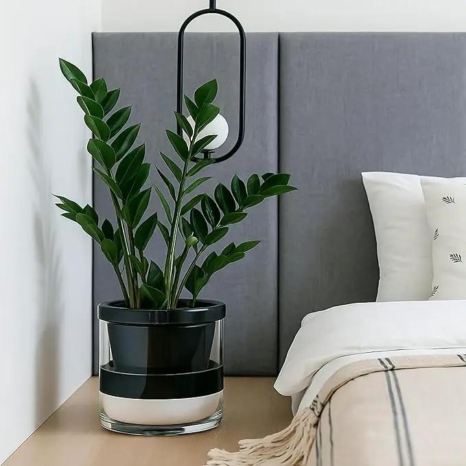 D'vine Dev 10 Inch Design Self Watering Planter for Indoor Plants, Black Terracotta Pot with Cylinder Glass Cup, 37-X-D-3 by GreenHaven Gardens